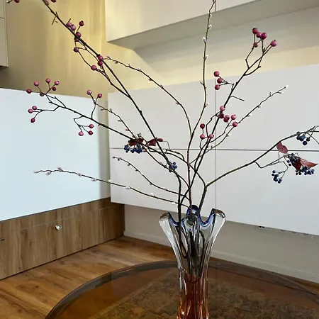 Tugendhat Boutique